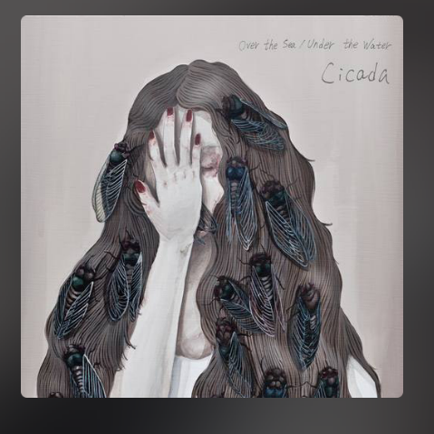 屏幕截图 2025-08-13 002532.png